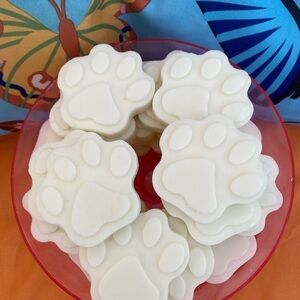 Bubble Gum cinnamon Soy Wax Meltz